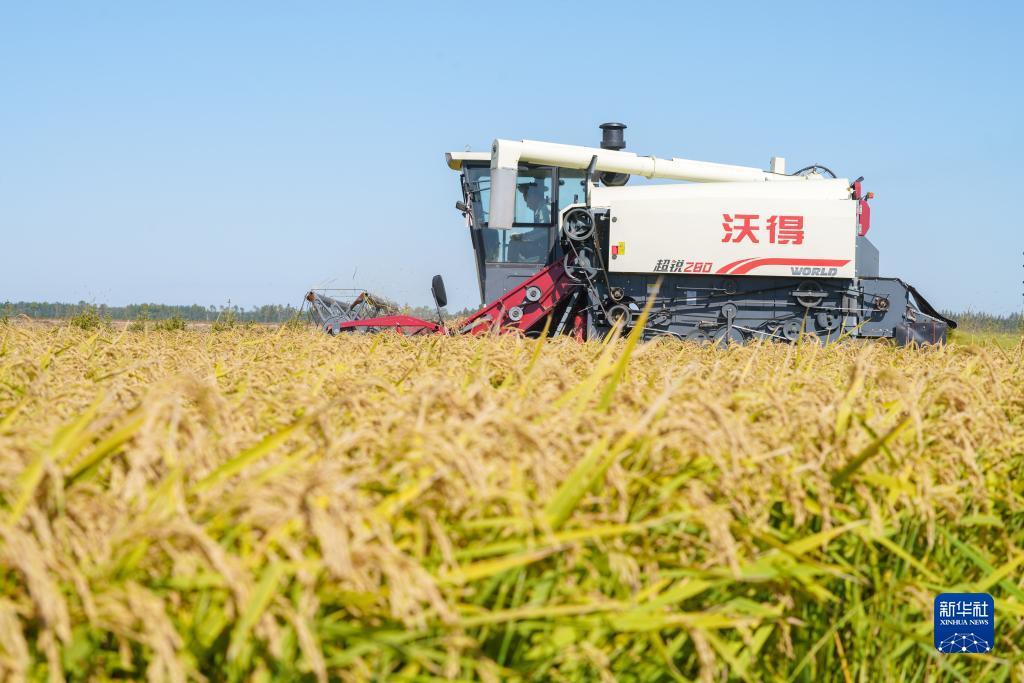 xpj葡京官xpj葡京官网